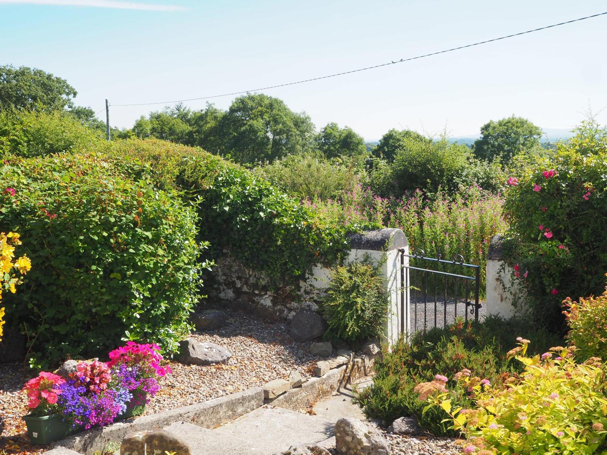 The Cottage @ Burkedale House Corofin  Экстерьер фото