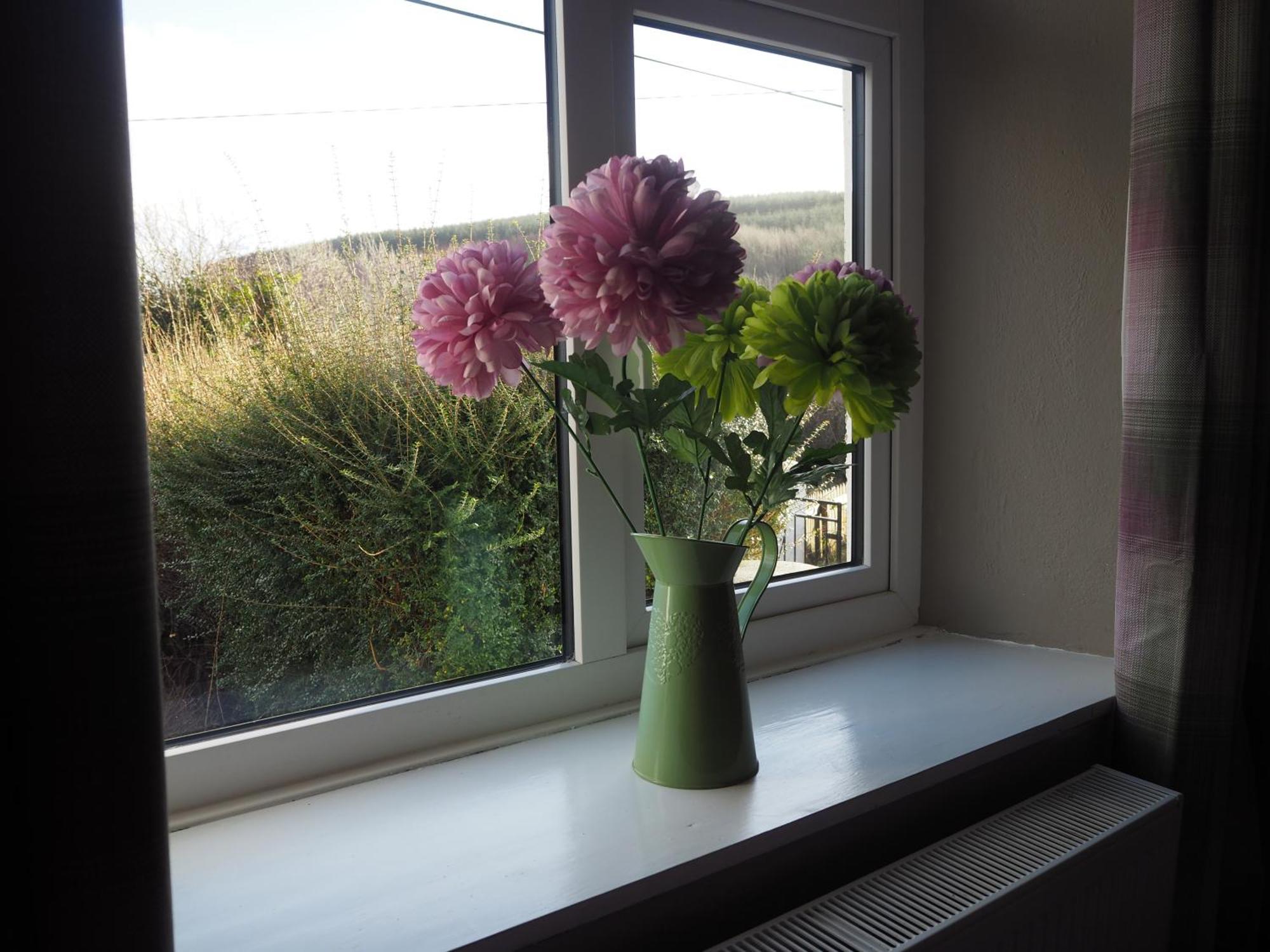 The Cottage @ Burkedale House Corofin  Экстерьер фото